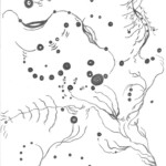 Effeector Paths
