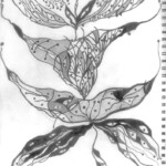 Incongruous Balance - First and Second Gender: Female