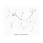 from Towards the Primeval Lightning Field (O Books, 1998 / Litmus Press, 2014)