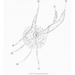 from Towards the Primeval Lightning Field (O Books, 1998 / Litmus Press, 2014)