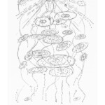 from Towards the Primeval Lightning Field (O Books, 1998 / Litmus Press, 2014)