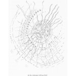 from Towards the Primeval Lightning Field (O Books, 1998 / Litmus Press, 2014)