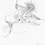 from The Sri Lankan Loxodrome (New Directions, 2009)