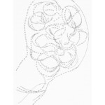 from Towards the Primeval Lightning Field (O Books, 1998 / Litmus Press, 2014)