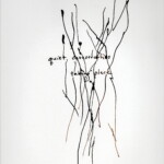 quiet catastrophes taking place